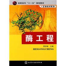 酶工程