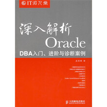 IT名人堂：深入解析Oracle：DBA入门、进阶与诊断案例