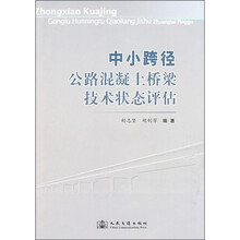 中小跨径公路混凝土桥梁技术状态评估