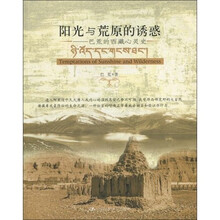阳光与荒原的诱惑：巴荒的西藏心灵史