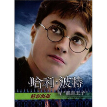 哈利波特与混血王子（精彩海报）