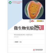 微生物实验实训