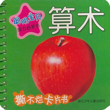 聪明宝贝脑力启蒙书：算术