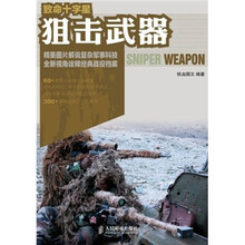 致命十字星：狙击武器