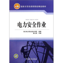 国家示范性高职院校精品教材:电力安全作业