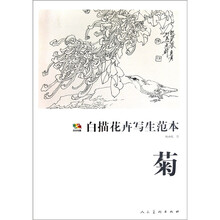 菊-白描花卉写生范本