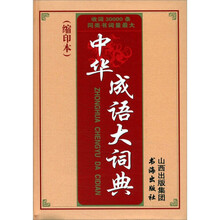 中华成语大词典（缩印本）
