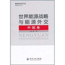 世界能源战略与能源外交：中国卷