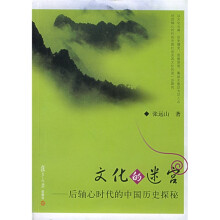 文化的迷宫：后轴心时代的中国历史探秘