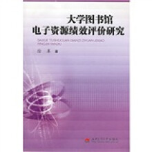 大学图书馆电子资源绩效评价研究