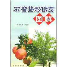 石榴整形修剪图解