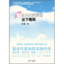 你不在的西安还下着雨