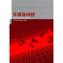 多媒体网格
