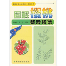 图解樱桃整形修剪