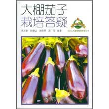 大棚茄子栽培答疑