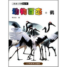 动物百态·鹤