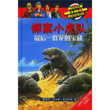 探案小虎队:最后一群龙的宝藏