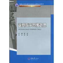 遥感数字图像处理