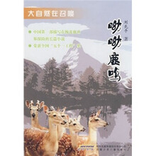 大自然在召唤：呦呦鹿鸣