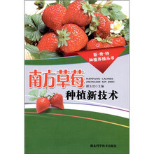 南方草莓种植新技术