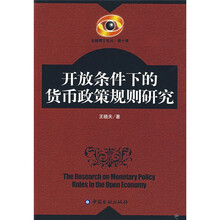 开放条件下的货币政策规则研究