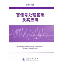 盲信号处理基础及其应用