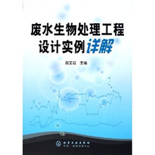 废水生物处理工程设计实例详解