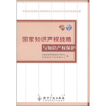 国家知识产权战略与知识产权保护