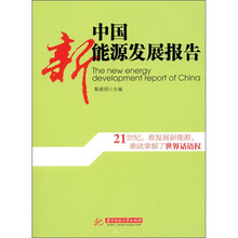 中国新能源发展报告