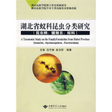 湖北省蚁科昆虫分类研究：昆虫纲·膜翅目·蚁科