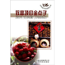 致富项目金点子/云岭新农民素质丛书