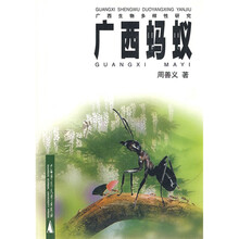 广西蚂蚁