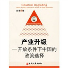 产业升级：开放条件下中国的政策选择