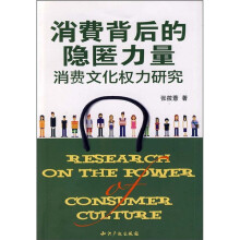 消费背后的隐匿力量：消费文化权力研究