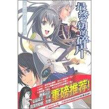 最终之钥的碎片