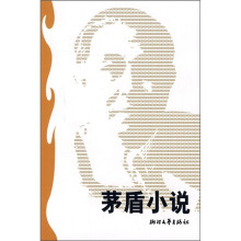 茅盾小说