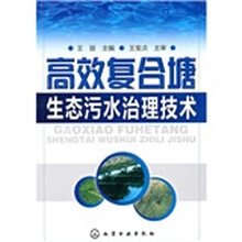 高效复合塘生态污水治理技术