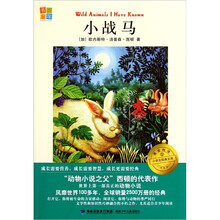 我爱阅读小学生经典文库：小战马