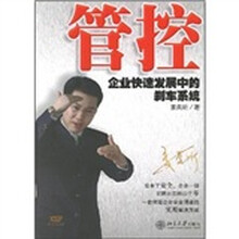 管控:企业快速发展中的刹车系统