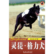 世界名犬：灵（犭是）·格力犬