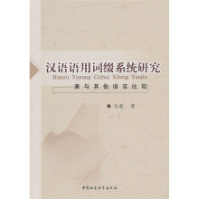 汉语语用词缀系统研究:兼与其他语言比较