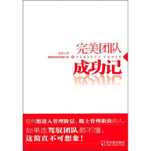 完美团队成功记