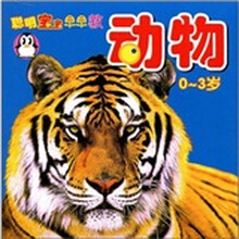 动物
