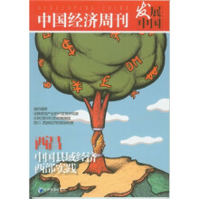发展中国:西昌,中国县域经济西部实践