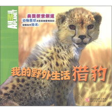 我的野外生活:猎豹