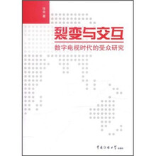 裂变与交互：数字电视时代的受众研究