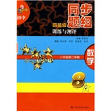 初中四星级同步题组训练与测评：数学（8年级第2学期）