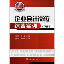 企业会计岗位综合实训(下册)