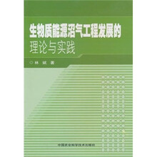 生物质能源沼气工程发展的理论与实践