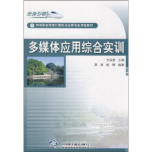 多媒体应用综合实训